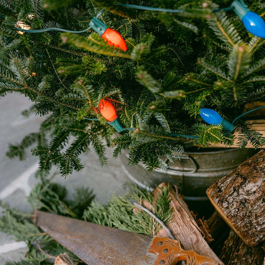 christmas tree next to rustic saw