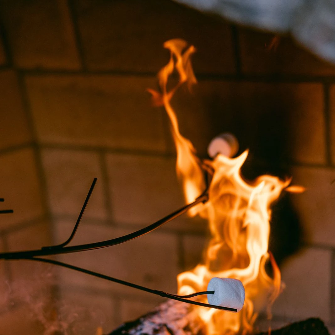 roasting marshmallow on fire